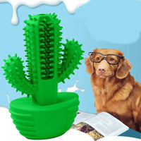 Pet molar stick - Fun Gifts & More