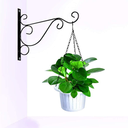 Northern European Wall Hanging Flower Stand Balcony Garden Hanging Flower Stand Hook Hanging Small Light European And American Home Amazon Cross Border - Fun Gifts & More