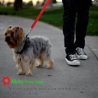 Pet safety leash - Fun Gifts & More