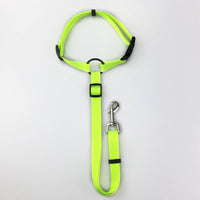 Pet safety leash - Fun Gifts & More