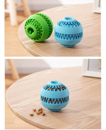 Pet molar ball - Fun Gifts & More