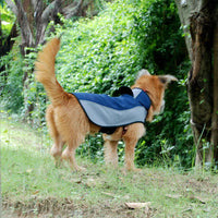 pet clothing waterproof breathable outdoor warm pet dog stormsuit rain coat - Fun Gifts & More