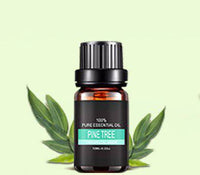 Massage aromatherapy essential oil - Fun Gifts & More