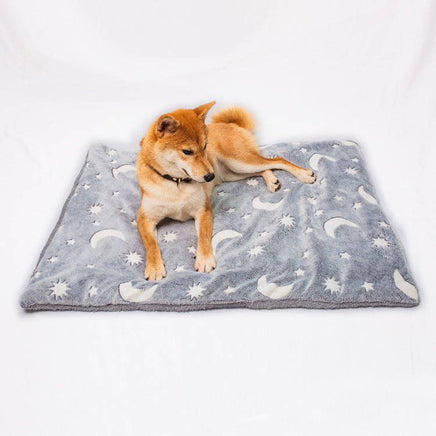 Thickened Pet Luminous Cushion - Fun Gifts & More