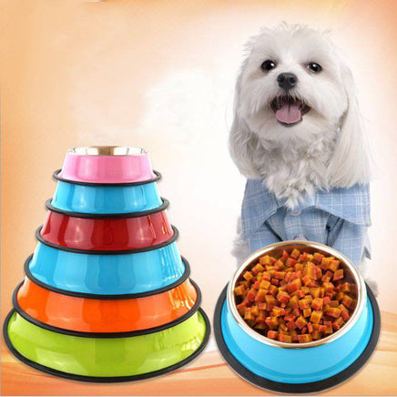 pet bowl pet feeding basin - Fun Gifts & More