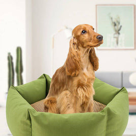 Pet dog mattress - Fun Gifts & More