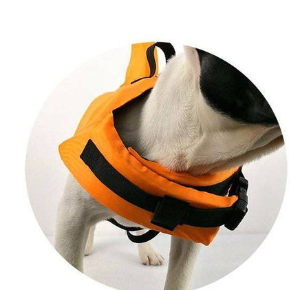 Pet Life Jacket, Dog Swimsuit, Pet Life-saving Supplies - Fun Gifts & More