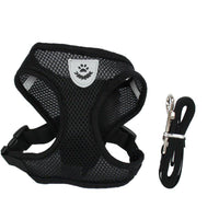 Pet chest strap - Fun Gifts & More