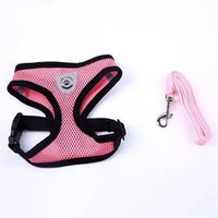 Pet chest strap - Fun Gifts & More