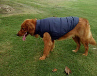 Pet clothing dog clothing warm waterproof outdoor pet supplies - Fun Gifts & More