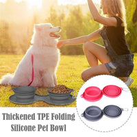 Rubber Foldable Double Bowl Pet Feeding Bowl Pets Supplies Dog Cat Bowls - Fun Gifts & More