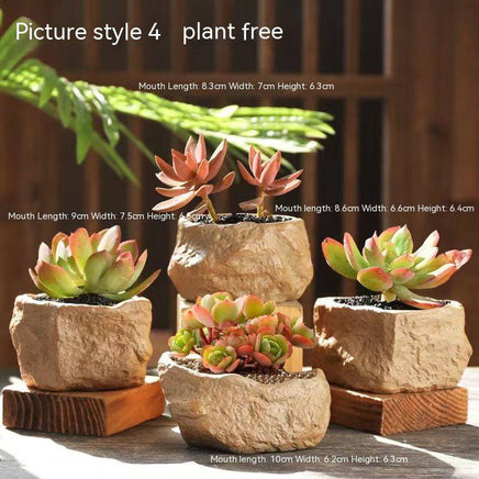 Stoneware Small Stone Succulent Plant Ceramic Flower Pot - Fun Gifts & More