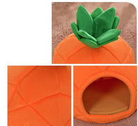 Fruit shaped pet bed - Fun Gifts & More