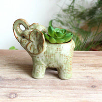 Ceramic Glaze Kiln Succulent Flower Pot - Fun Gifts & More