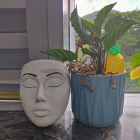 Nordic Garden Mask Flowerpot Desktop Wall - Fun Gifts & More