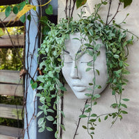 Nordic Garden Mask Flowerpot Desktop Wall - Fun Gifts & More