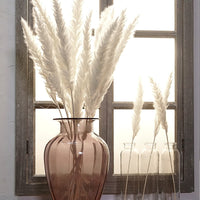 Reed dried flower home decoration - Fun Gifts & More