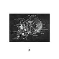 Canvas Painting Of Human Anatomy Skeleton Organ System - Fun Gifts & More