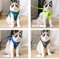 Anti-strike cat traction cat harness - Fun Gifts & More