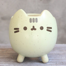 Succulent Flower Pot Cute Cat Animal Cartoon - Fun Gifts & More