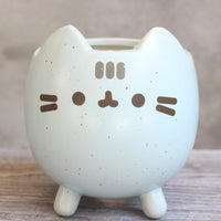 Succulent Flower Pot Cute Cat Animal Cartoon - Fun Gifts & More