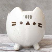 Succulent Flower Pot Cute Cat Animal Cartoon - Fun Gifts & More