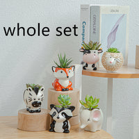 Simple Cartoon Animal Succulent Flower Pot Ceramic Flower Pot - Fun Gifts & More