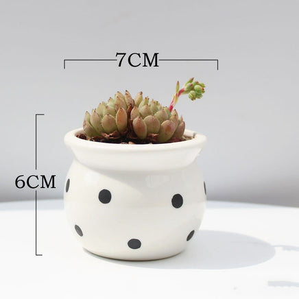 Succulent Flower Pot Ceramic Flower Pot Thumb Pot - Fun Gifts & More