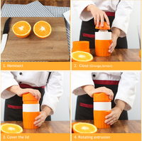 Manual And Portable 300ML Orange Lemon Juicer - Fun Gifts & More