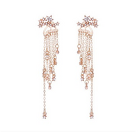 Shining Star Tassel Earrings Back Hanging Exquisite Earrings - Fun Gifts & More