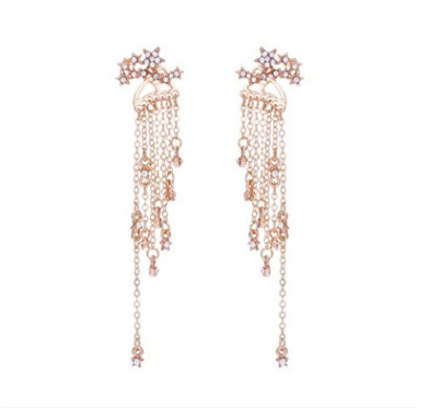 Shining Star Tassel Earrings Back Hanging Exquisite Earrings - Fun Gifts & More