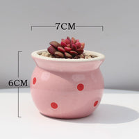 Succulent Flower Pot Ceramic Flower Pot Thumb Pot - Fun Gifts & More