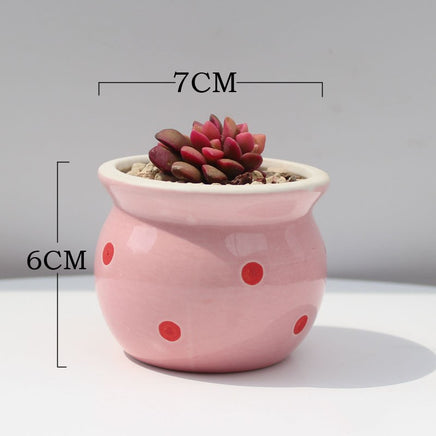 Succulent Flower Pot Ceramic Flower Pot Thumb Pot - Fun Gifts & More