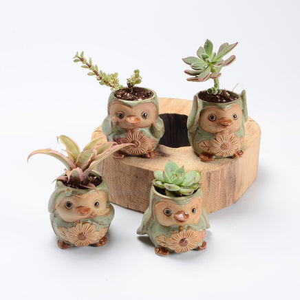 Succulent ceramic flower pot - Fun Gifts & More