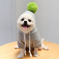 Fruit Pet Coat Hoodies - Fun Gifts & More