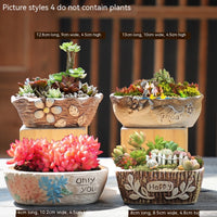 Large Succulent Flower Pot Ceramic - Fun Gifts & More