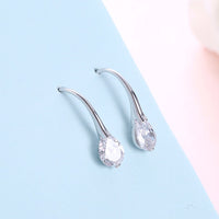 Sterling silver drop earrings - Fun Gifts & More