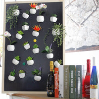 Succulent Potted Plant Fridge Magnets - Fun Gifts & More