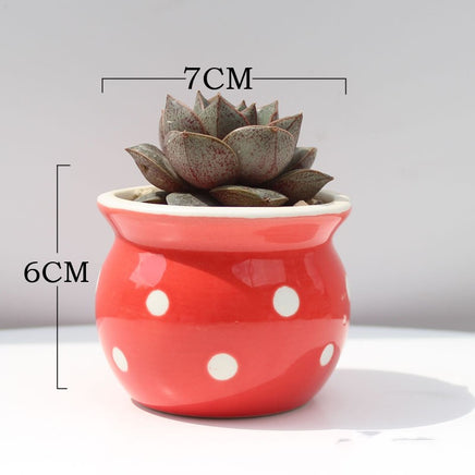 Succulent Flower Pot Ceramic Flower Pot Thumb Pot - Fun Gifts & More