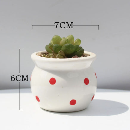 Succulent Flower Pot Ceramic Flower Pot Thumb Pot - Fun Gifts & More