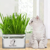 Organic Cat Grass - Fun Gifts & More