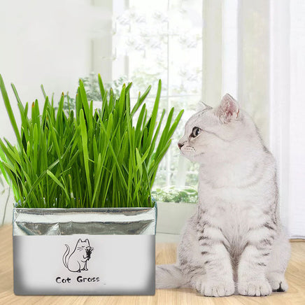 Organic Cat Grass - Fun Gifts & More