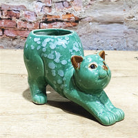 Cartoon Cute Cat Ceramic Succulent Small Flower Pot - Fun Gifts & More