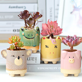 Cute Cartoon Small Animal Succulent Flower Pot - Fun Gifts & More