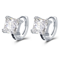 Sterling silver zircon earrings - Fun Gifts & More