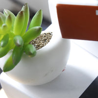 Succulent Potted Plant Fridge Magnets - Fun Gifts & More