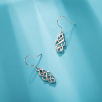 S925 Sterling Silver Earrings - Fun Gifts & More