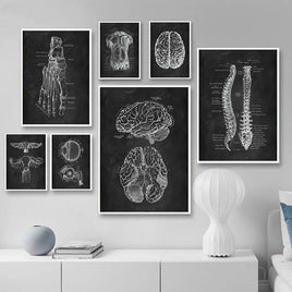 Canvas Painting Of Human Anatomy Skeleton Organ System - Fun Gifts & More