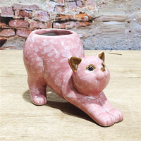 Cartoon Cute Cat Ceramic Succulent Small Flower Pot - Fun Gifts & More