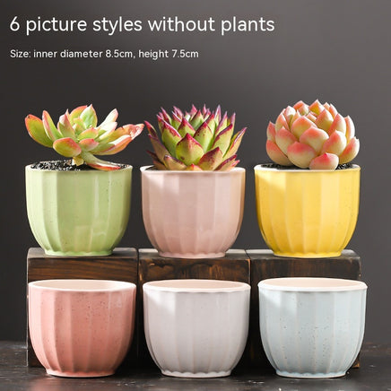 Large Succulent Flower Pot Ceramic - Fun Gifts & More